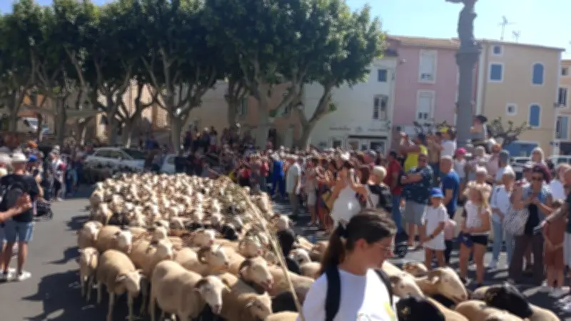 Fête de la transhumance à Vendres : un événement pastoral incontournable