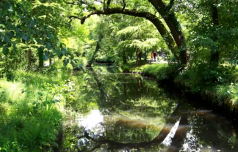 Fête de l'Eau Bourde : un événement festif et engagé ce dimanche 24 mai