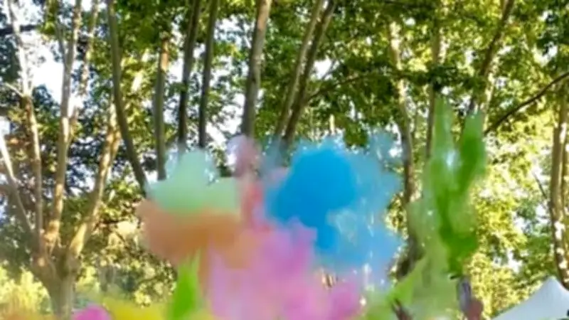 Fête des couleurs à Castelnau-le-Lez : un événement familial le 30 mai