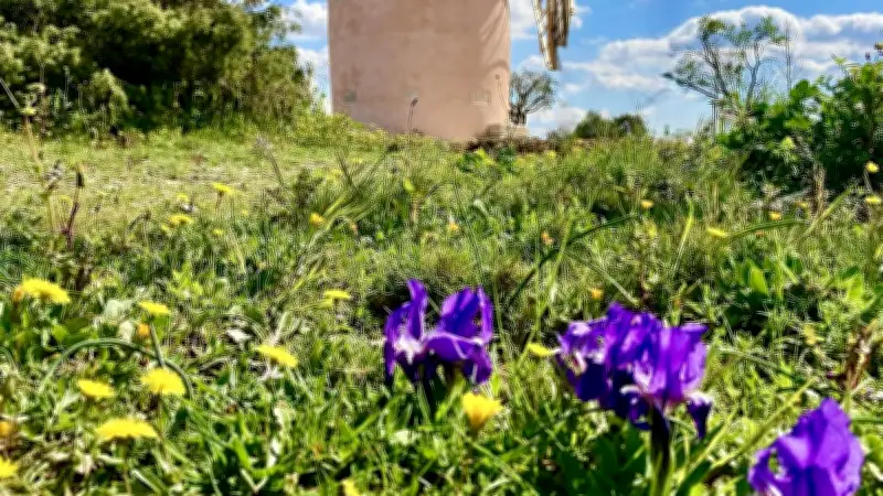 Fête des Ressources locales le 23 mai à Cabrières