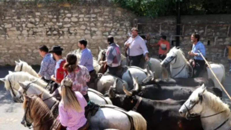 Fête du printemps à Beauvoisin : traditions camarguaises les 7 et 8 mai