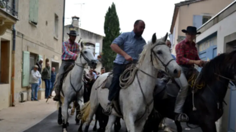Fête du printemps spectaculaire au Cailar : traditions et émotions