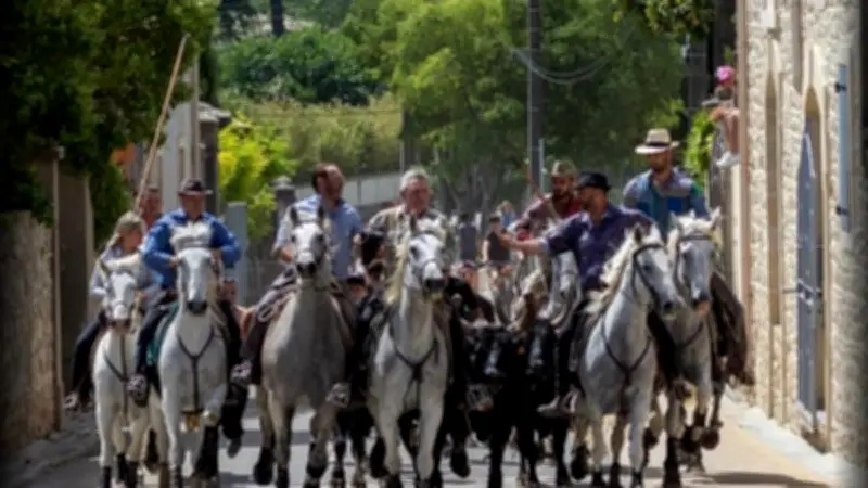 Fête du village à Saussines : trois jours d'abrivado et de traditions