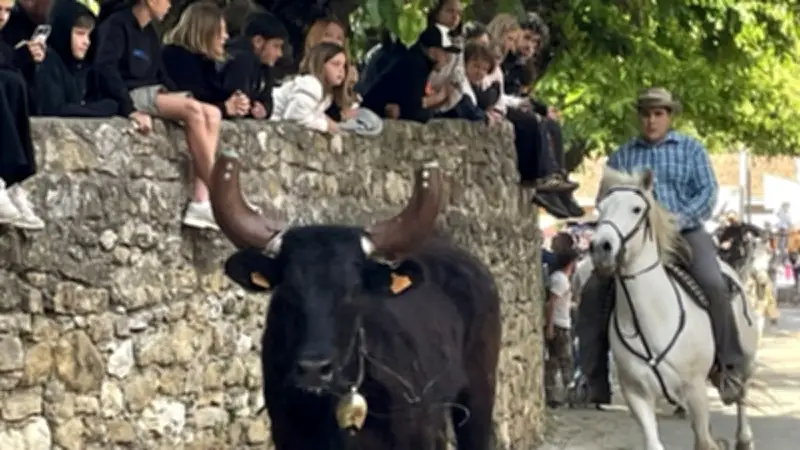 Fête taurine et musicale à Sauzet : un week-end festif réussi