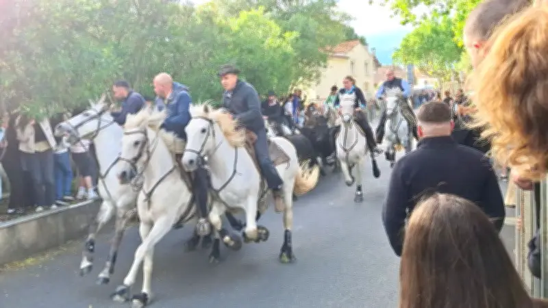 Fête taurine à Rodilhan : programme du samedi 16 mai