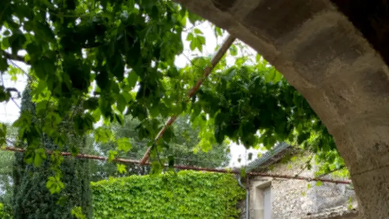 Gal'art : 700 visiteurs pour la 8e édition à Galargues
