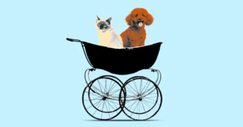 Garde de chiens : le nouveau service qui bichonne nos animaux comme des enfants