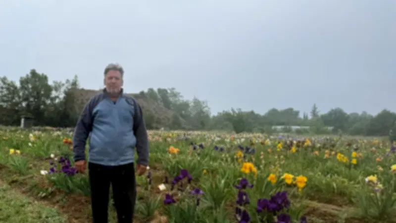 Gignac : un vigneron troque la vigne pour 600 variétés d'iris
