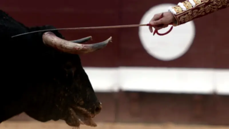 Gironde : corrida suspendue à La Brède, une victoire pour les associations