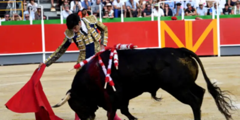 Gironde : la justice suspend une corrida, la tradition taurine en question