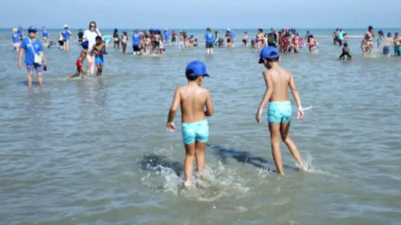 Grand Est : la suppression des aides aux vacances des enfants défavorisés inquiète