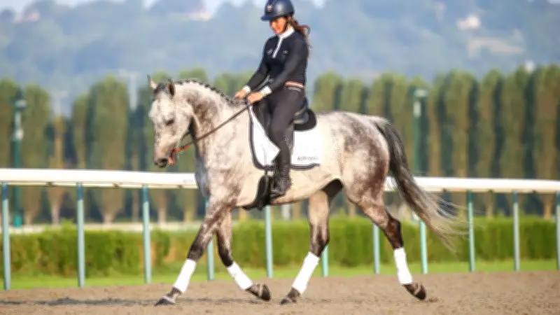 Grand Steeple-Chase 2026 : la retraite paisible des champions hippiques