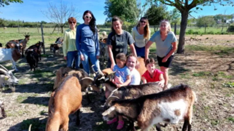 Grazilla : un sanctuaire pour 250 animaux sauvés de la maltraitance