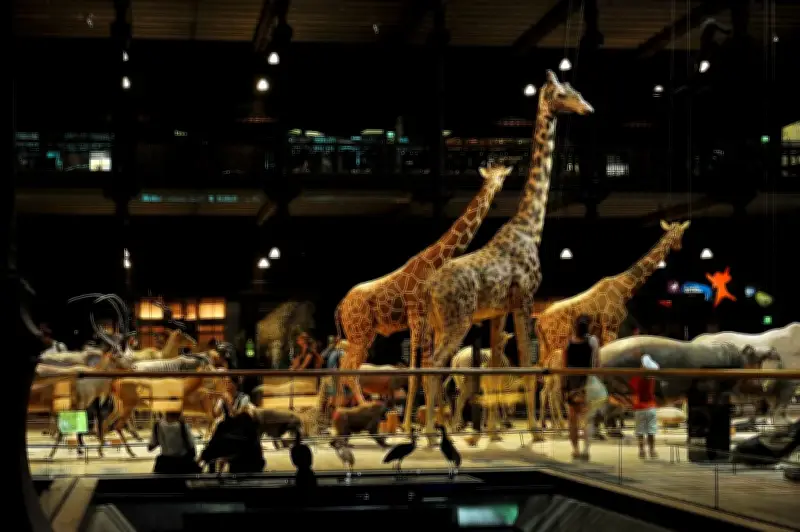 Grève au Muséum d'Histoire Naturelle contre des salaires proches du SMIC