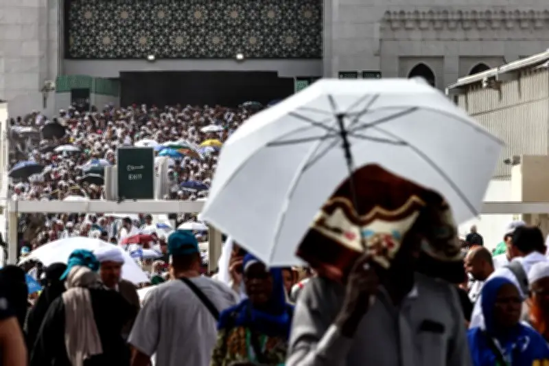 Hajj 2025 : 1,5 million de pèlerins sous le signe des tractations USA-Iran