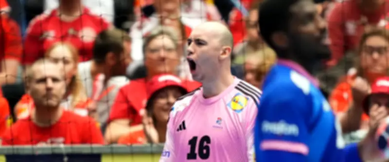 Handball : les Bleus dos au mur face à la République tchèque pour le Mondial