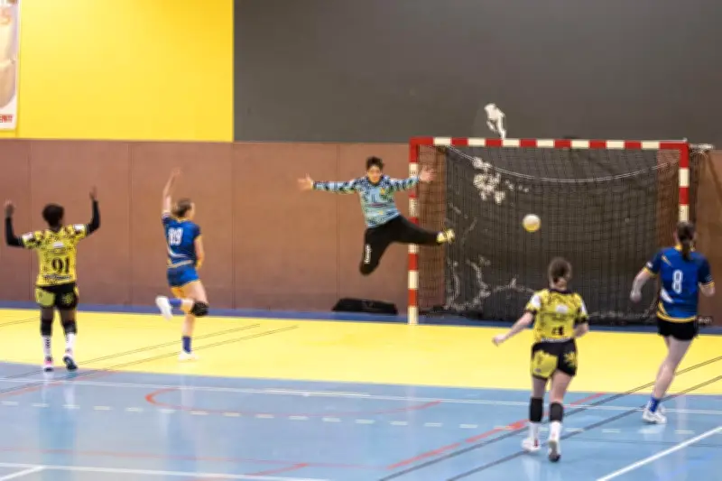 Handball N2F : Mont-de-Marsan relégué, le président tire le bilan
