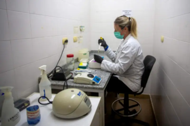 Hantavirus : 22 cas contacts hospitalisés, pas de symptômes