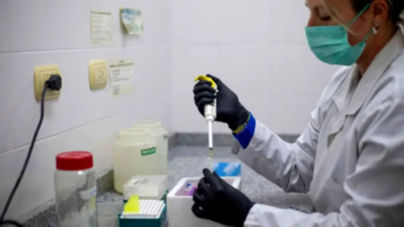 Hantavirus : 8 cas confirmés, souche des Andes détectée, 27% de létalité