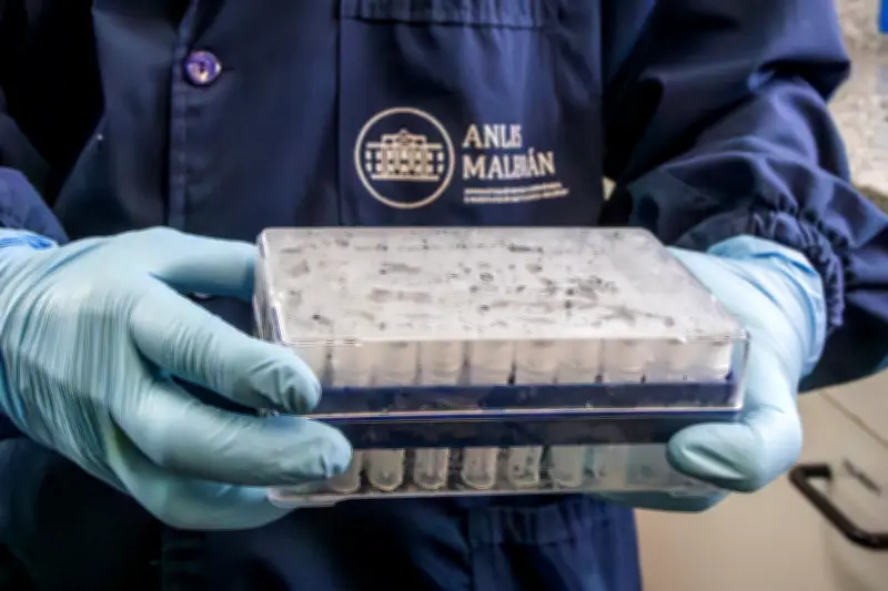 Hantavirus Andes : une épidémie argentine décortiquée par la science