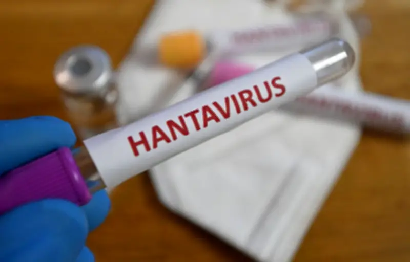 Hantavirus au Canada : un cas confirmé, risque faible pour la population