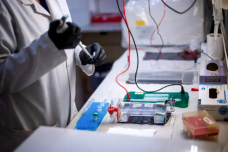 Hantavirus : comment repérer les théories du complot ?