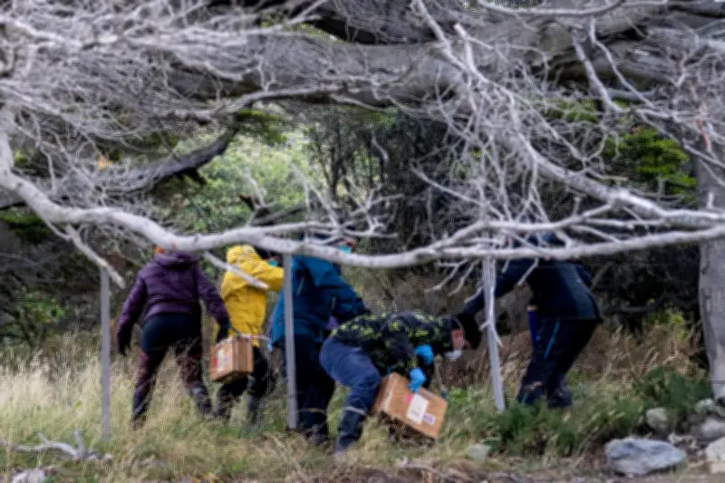 Hantavirus, Ebola, Covid-19 : changer notre rapport au vivant