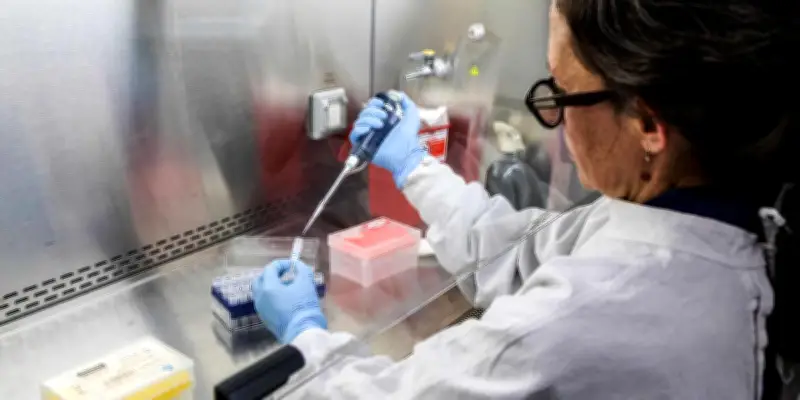 Hantavirus : Gustavo Palacios rassure sur la transmission du virus Andes