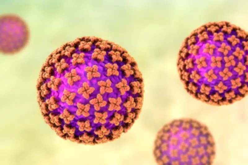 Hantavirus : le cluster du Hondius, un signal à ne pas ignorer