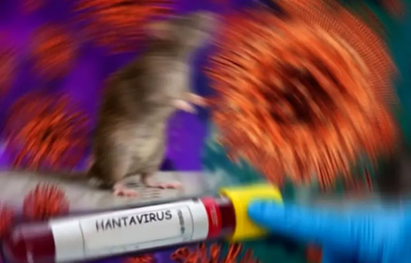 Hantavirus: le passager américain finalement négatif après de nouveaux tests