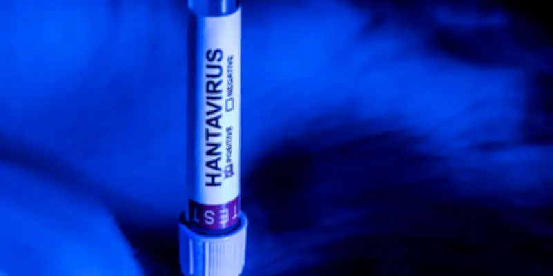Hantavirus : les réseaux sociaux amplifient la désinformation médicale