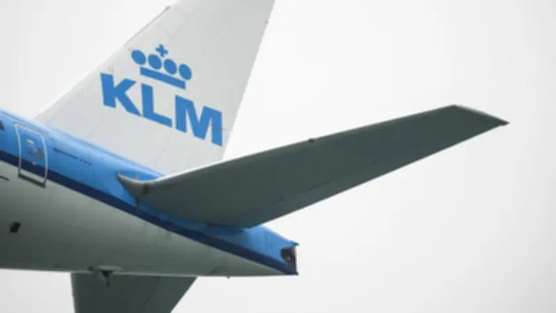 Hantavirus : l'hôtesse de l'air KLM testée négative, le virus fait trois morts