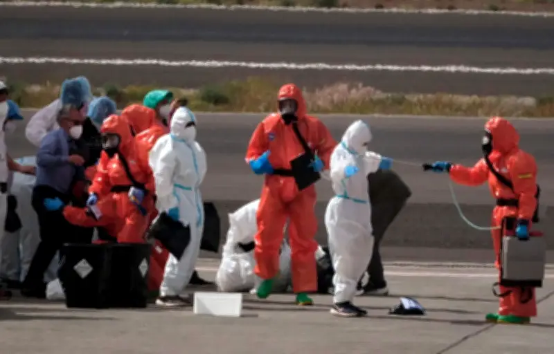 Hantavirus : pas de traitement, les patients sous surveillance