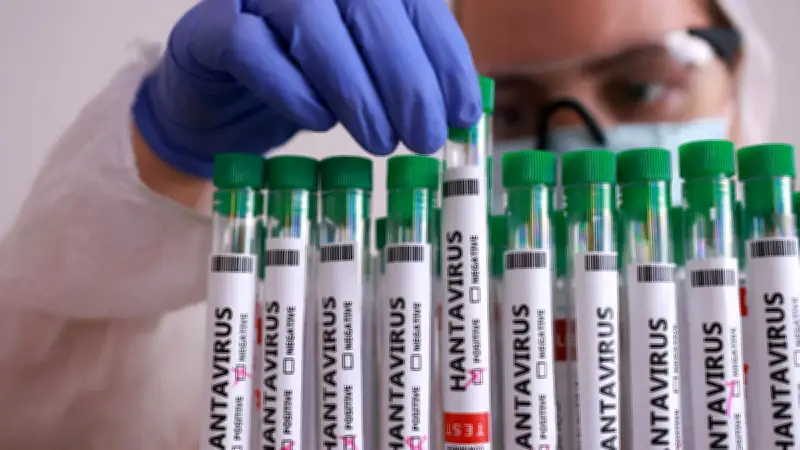 Hantavirus sur un navire de croisière : craint-on une épidémie mondiale ?