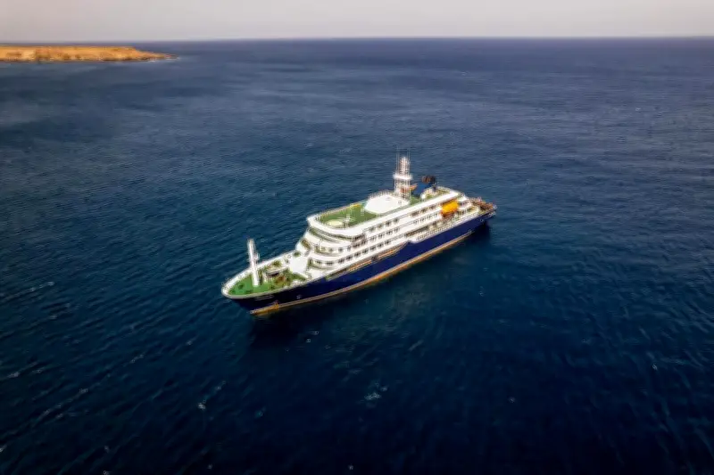 Hantavirus : trois morts sur un bateau de croisière, ce qu'il faut savoir