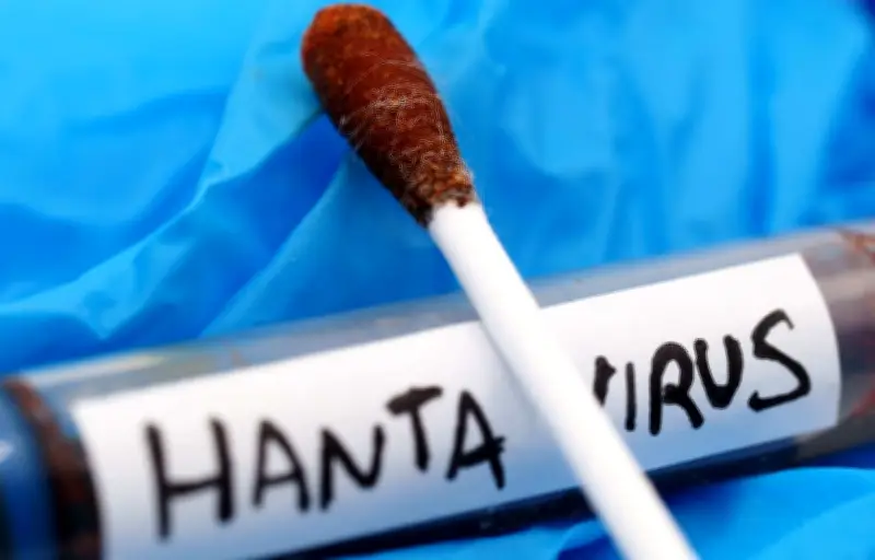 Hantavirus : un Américain testé positif, un Français symptomatique