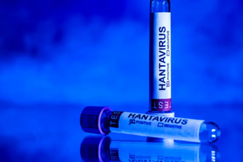 Hantavirus : un cas contact accueilli au CHU de Rennes, le Pr Tattevin rassure