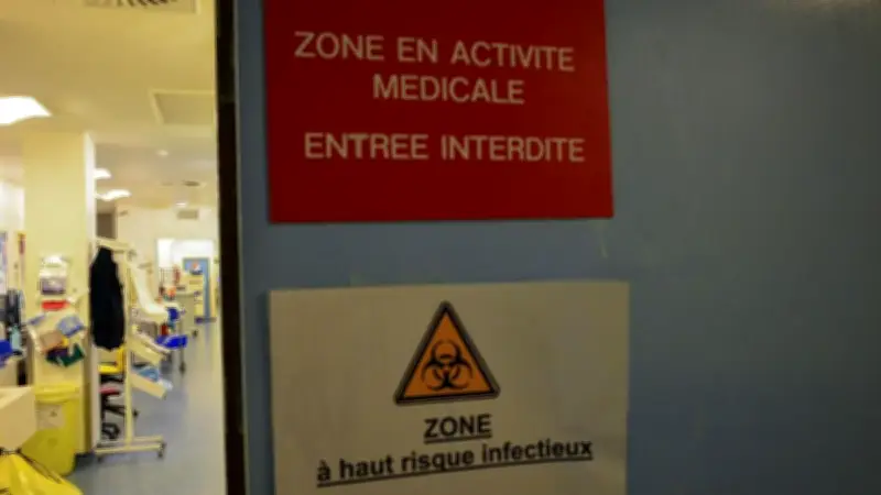 Hantavirus : une Française en réanimation avec la forme cardiopulmonaire la plus sévère
