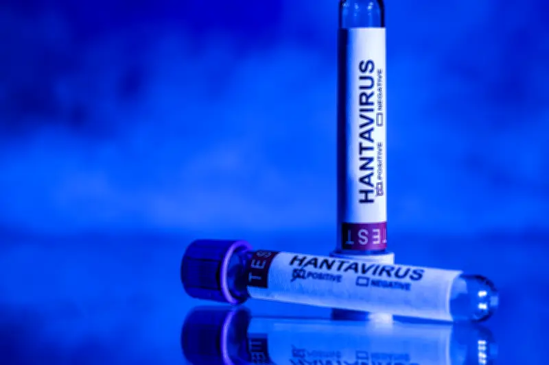 Hantavirus : une menace comparable au Covid ? Décryptage avec une infectiologue
