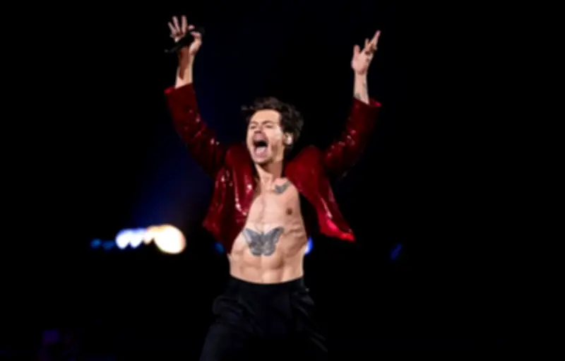 Harry Styles : dix ans après One Direction, une pop star mondiale