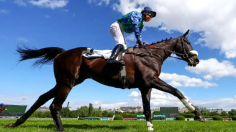 Hippisme : Losange Bleu écrase ses rivaux dans la Grande Course de Haies d'Auteuil