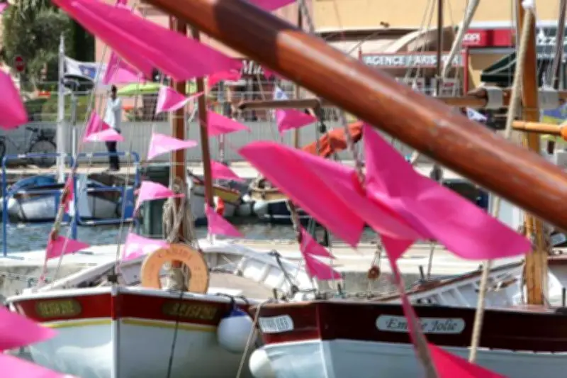 Idées sorties dans le Var : rosé, vintage et italie au programme