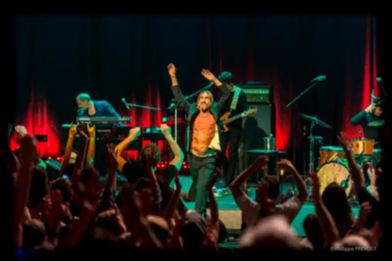 Iggy Pop enflamme l'Auditorium de Bordeaux : récit d'un concert punk historique