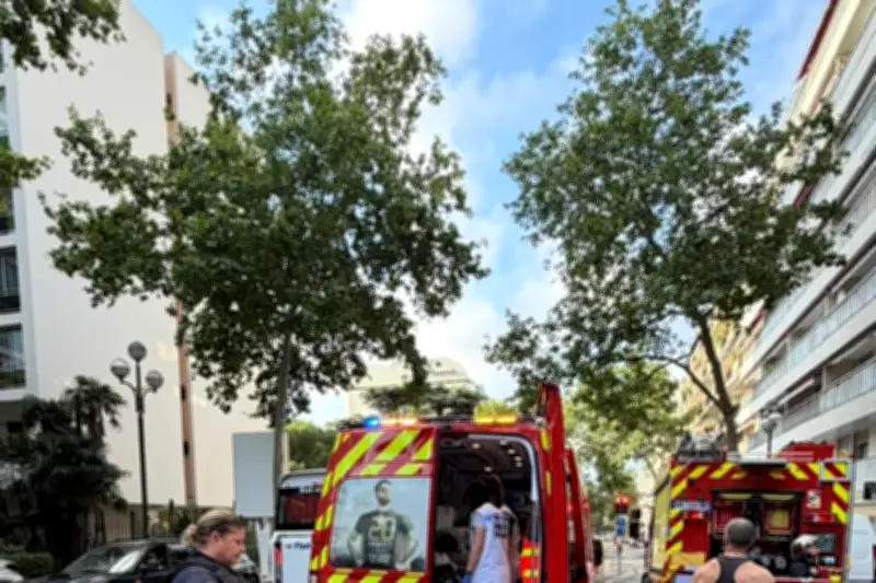 Incendie à Cannes : huit personnes prises en charge, 49 pompiers mobilisés