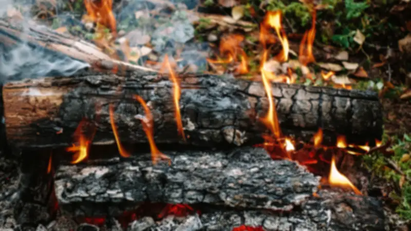 Incendie dans le Calvados : des ados construisent une cabane et alertent les pompiers