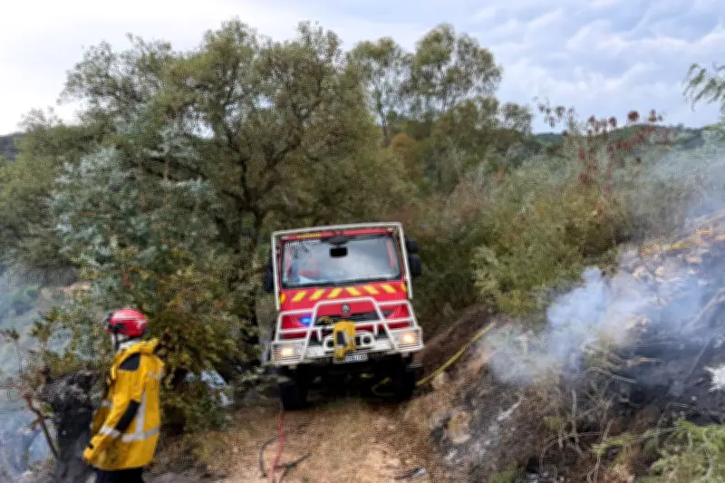 Incendie de végétation à Pégomas : 1 hectare brûlé, 24 pompiers mobilisés