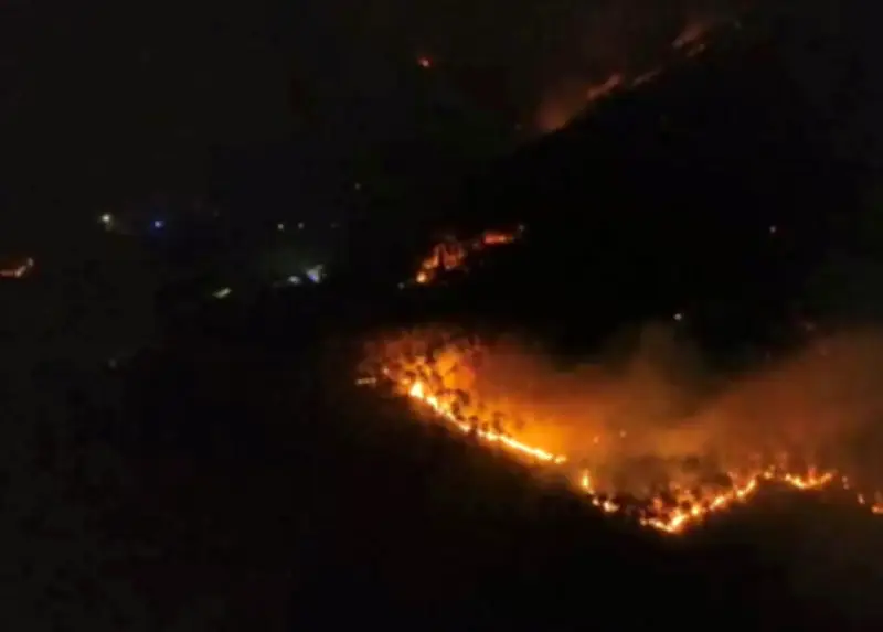 Incendie en Toscane : 3 500 personnes évacuées autour de Pise et Lucques