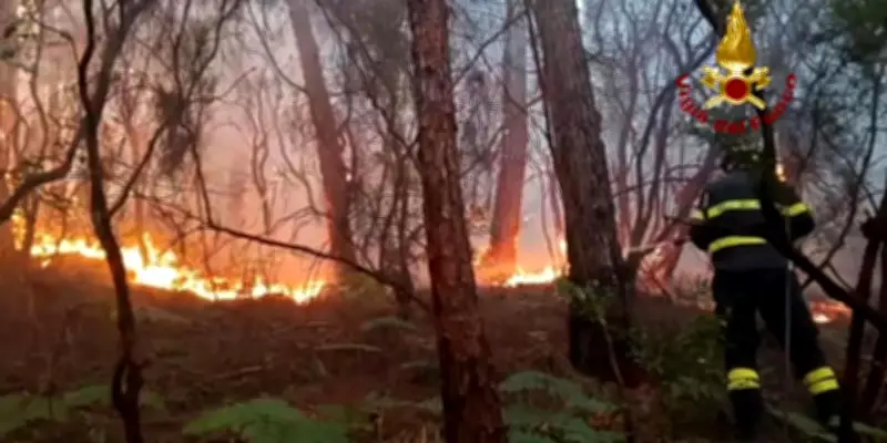 Incendie en Toscane : 3 500 personnes évacuées