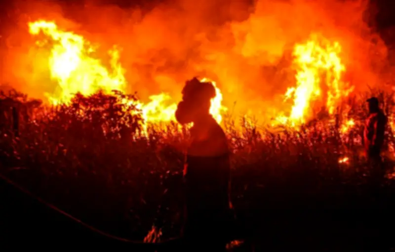 Incendies : année 2025 particulièrement grave, alerte des chercheurs