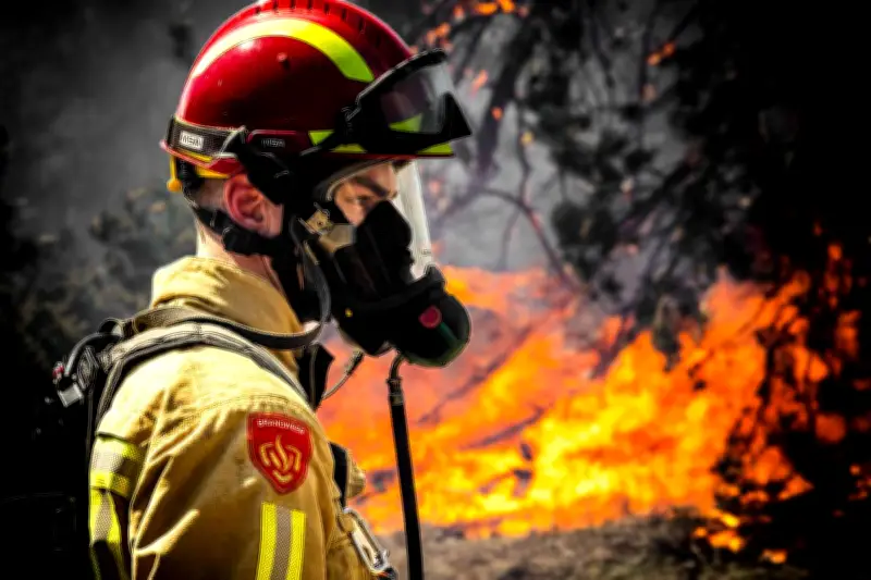 Incendies aux Pays-Bas : la France envoie 41 pompiers en renfort